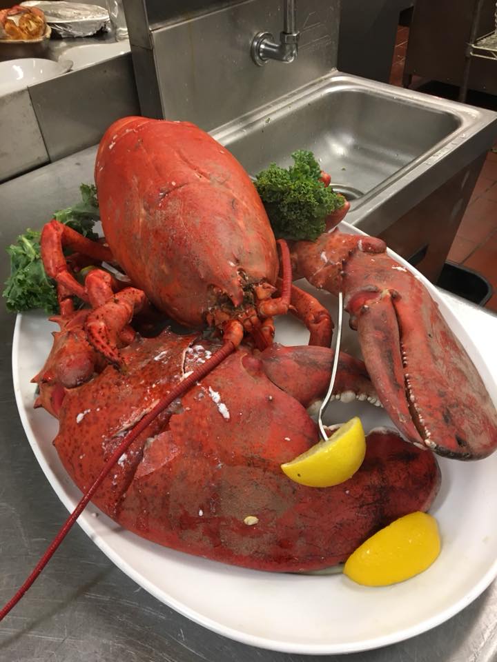 maine lobster dinner