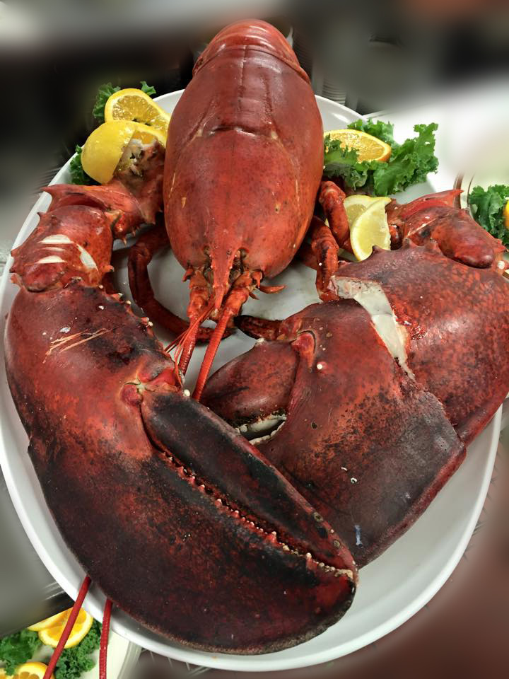 maine lobster dinner