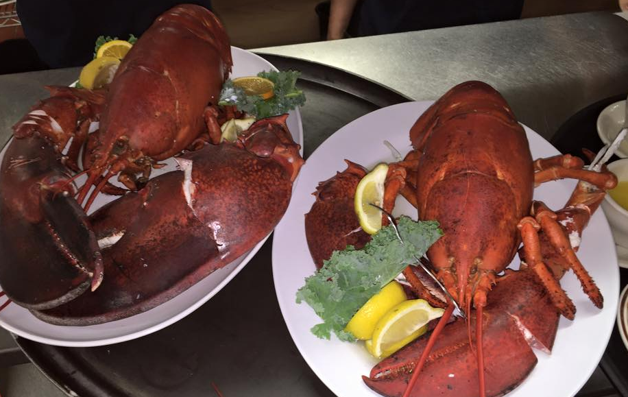 fresh lobster